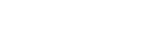 офицеры России